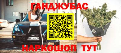 прущие грибы Ставрополь