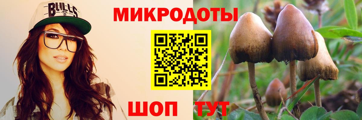 Псилоцибиновые грибы Magic Shrooms Мурино